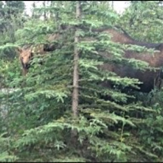 Screen Shot 2016-07-14 at 8.19.04 PM.jpg